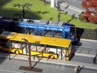 Bus und Bahn in der Gleisschleife Riegelplatz im Sonnenlicht.