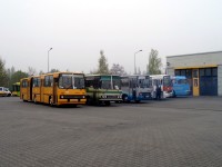 Eine Parade von IKARUS Bussen vor den Toren.
