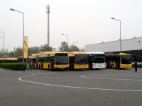Drei Dresdner und ein Meißner Bus