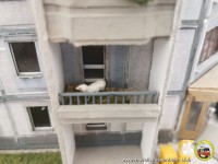 Was macht denn das Schaf dort auf dem Balkon?
