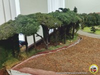 Der Wald im Hintergrund ist recht hoch gewachsen