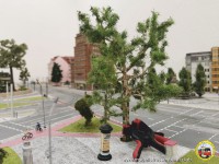 Und schon steht das neue gro&szlig;e Gew&auml;chs