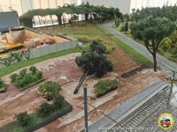 Immer mehr Str&auml;ucher und B&auml;ume wachsen an