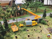 Baumf&auml;llarbeiten entlang der Stra&szlig;e.