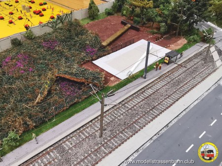 Eine Fl&auml;che voller Unkr&auml;uter