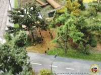 Die freigeschnittene Zufahrt